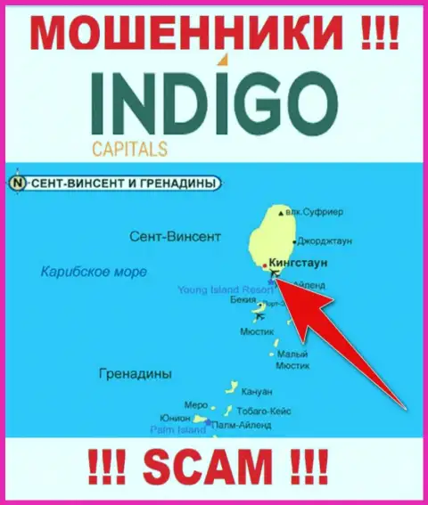 Обманщики Indigo Capitals находятся на оффшорной территории - Kingstown, St Vincent and the Grenadines