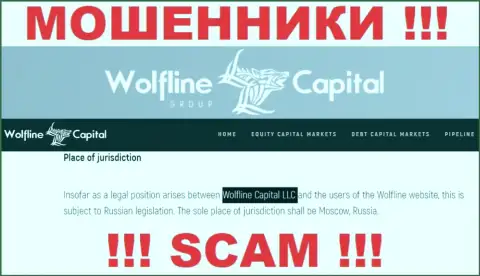 Юридическое лицо компании Wolfline Capital - это Wolfline Capital LLC