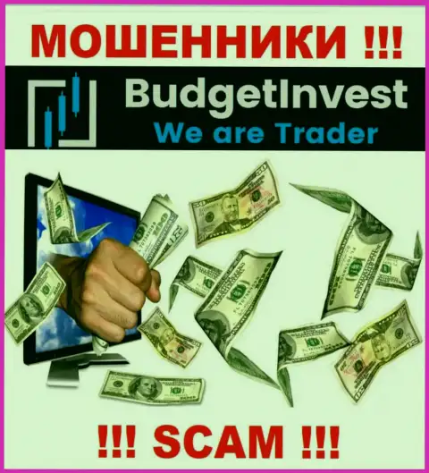 Все слова работников из дилинговой компании BudgetInvest всего лишь ничего не значащие слова - МОШЕННИКИ !!!