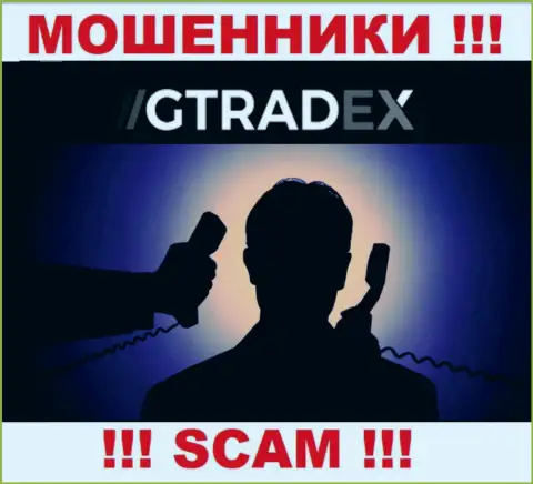 Инфы о непосредственном руководстве мошенников GTradex в глобальной internet сети не найдено