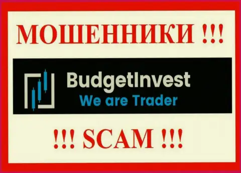 БуджетИнвест Орг - это ВОРЫ !!! Финансовые активы не отдают обратно !!!
