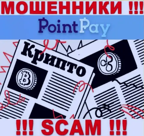 Point Pay LLC обманывают наивных людей, прокручивая делишки в области Крипто торговля