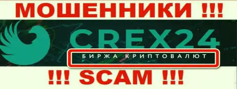 Род деятельности организации Crex24 Com - капкан для наивных людей