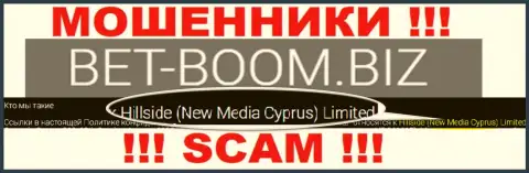 Юридическим лицом, владеющим интернет мошенниками Bet Boom Biz, является Hillside (New Media Cyprus) Limited