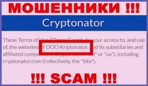 Организация Cryptonator Com находится под крышей компании OOO Криптонатор